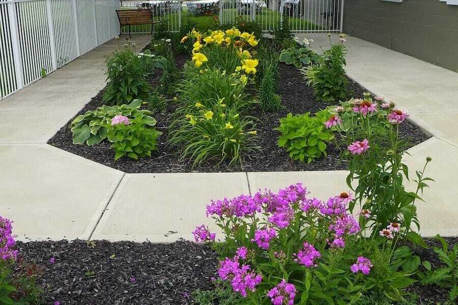 Franklin Courtyard Purple And Yellow Flowers