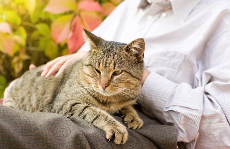 Aging Parents and Pets: How to Help with Their Care