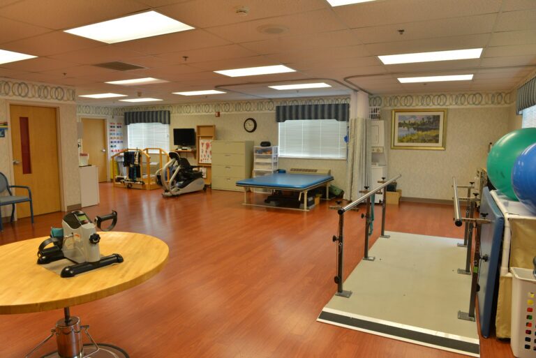 Rehabilitation Gym