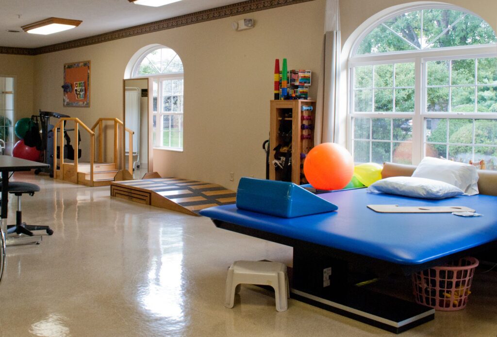 EagleValleyMeadows TherapyGym