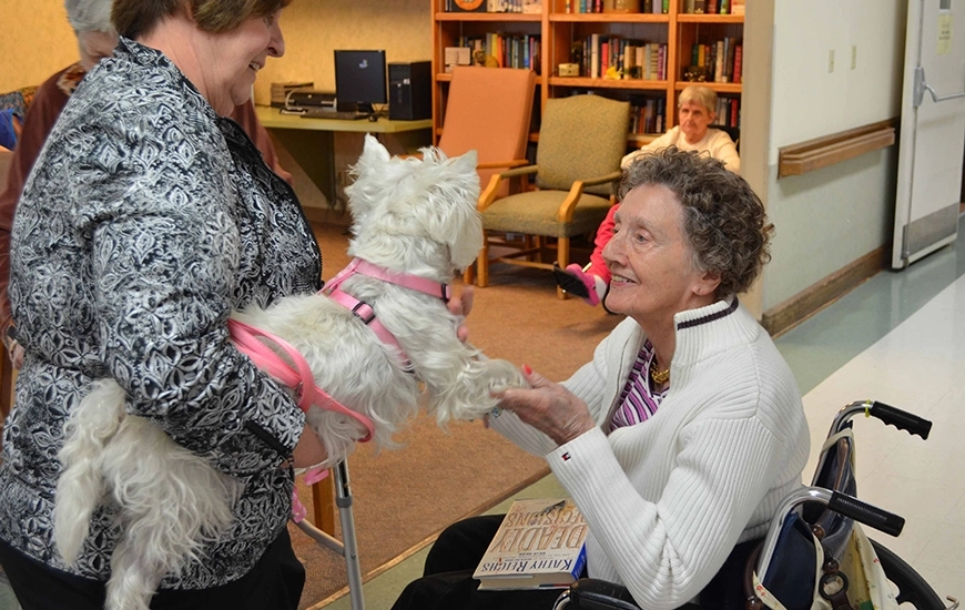 ????????????????????????????????????