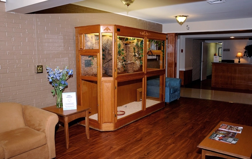 SeymourCrossing Birdcage