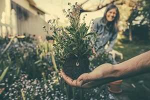 Spring Activities for Seniors