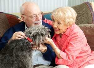 5 Reasons Seniors Need Pets