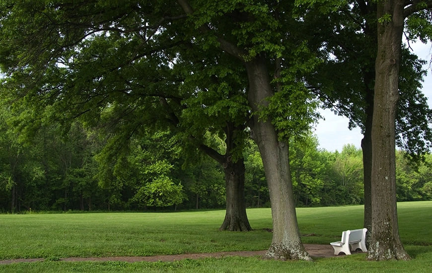 Prairie Village Garden