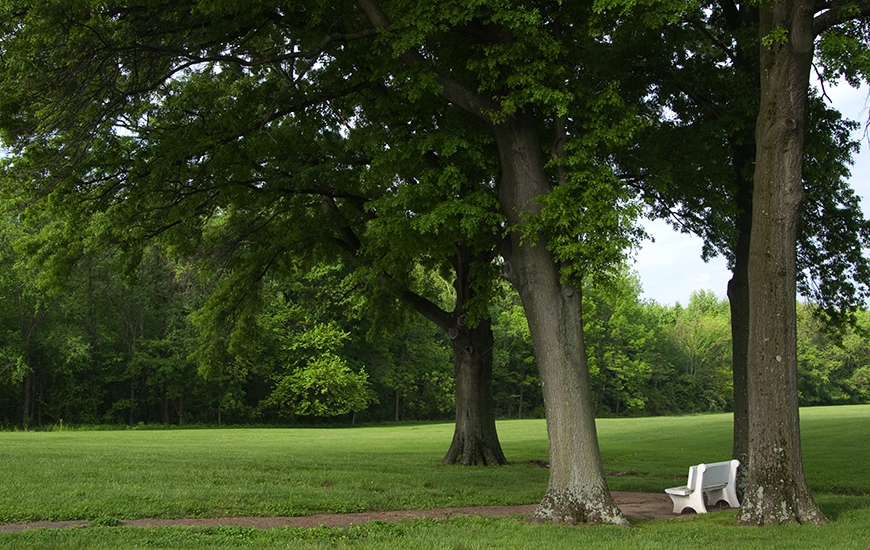 Prairie Village Garden