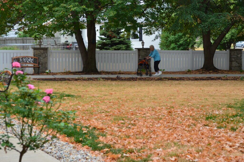 RosewalkHC Courtyard
