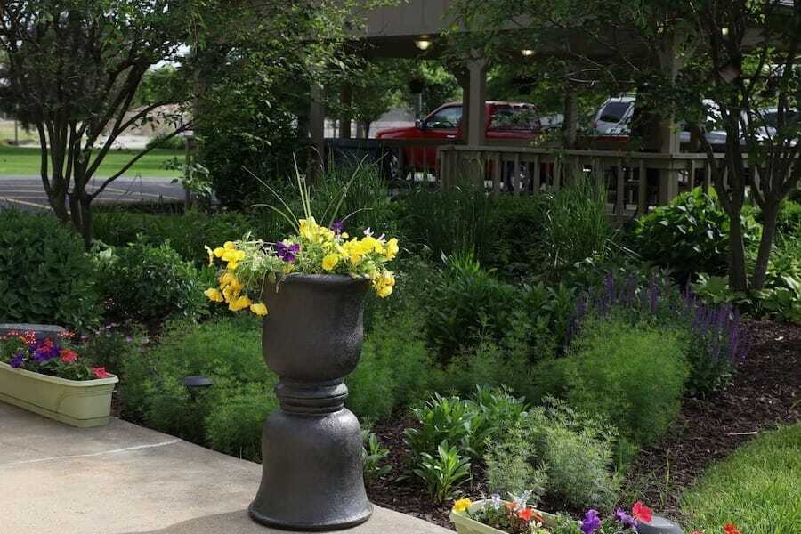 Crawfordsville Outdoor Yellow Flowers