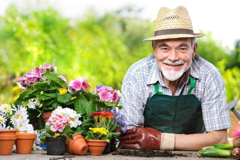 spring activities for seniors